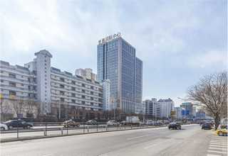 虹口区球场施工建设